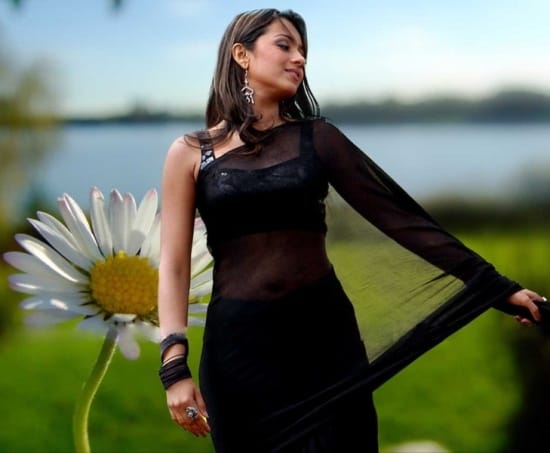 Top 9 Unforgettable Looks of Actress Trisha in Saree