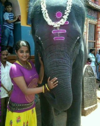 10 Best Priyamani Without Makeup Photos | I Fashion Styles