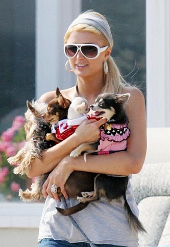 10 Pictures of Paris Hilton without Makeup | I Fashion Styles