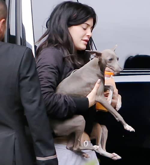 20 Amazing Pictures of Kylie Jenner without Makeup | I Fashion Styles