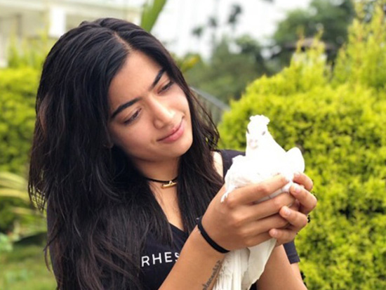 Top 22 Without Makeup Photos of Rashmika Mandana
