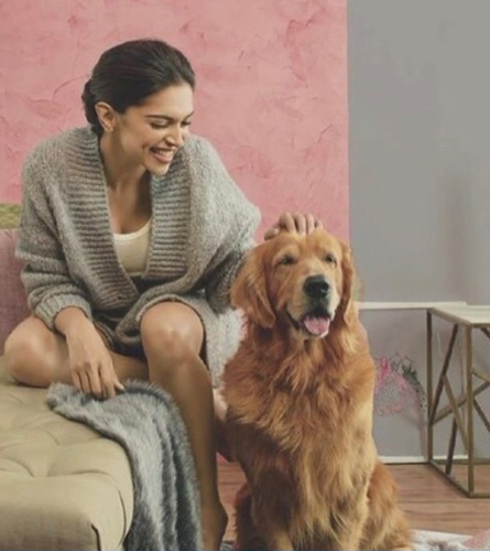 20 Latest Pictures of Deepika Padukone without Makeup