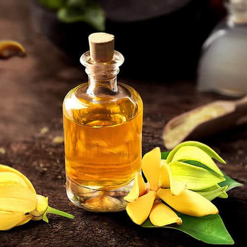 12 Best Breast Enlargement Oils Which Works Effectively