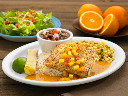 Ketogenic Diet Plan to Lose Weight Very Quickly | I Fashion Styles