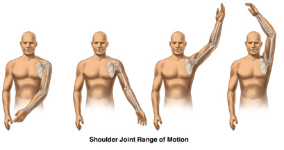 9 Best Shoulder Exercises for Building Strength and Functionality