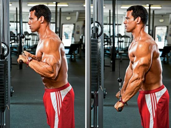 8 Good Dumbbell Exercises for Bigger Triceps at Gym