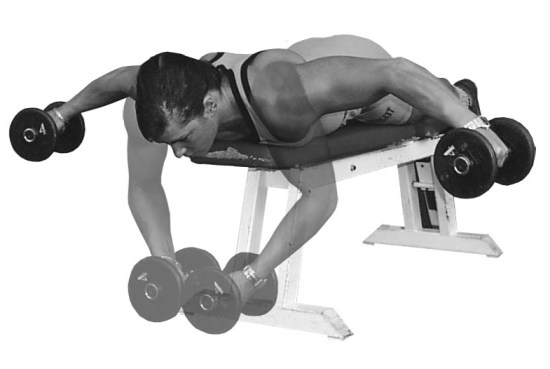 Top 12 Upper Chest Exercises | I Fashion Styles