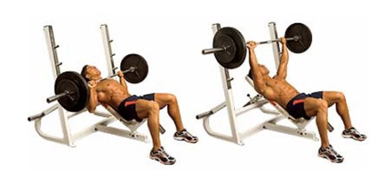 Top 12 Upper Chest Exercises | I Fashion Styles