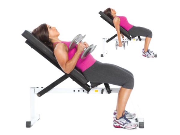 10 Best Exercises for Biceps | I Fashion Styles