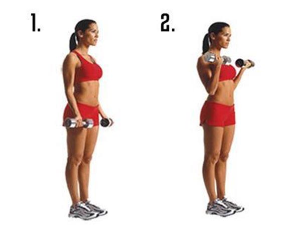 10 Best Exercises for Biceps | I Fashion Styles