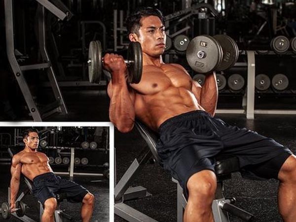 10 Best Exercises for Biceps | I Fashion Styles