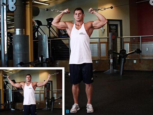 10 Best Exercises for Biceps | I Fashion Styles