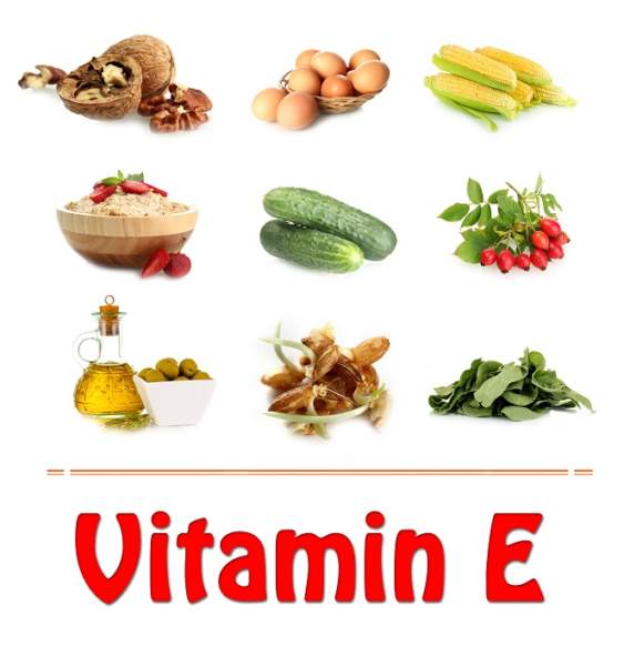 Vitamin E Rich Foods : 15 Amazing List - You Must Know | I Fashion Styles