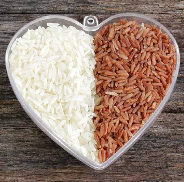 18 Best Zinc Rich Foods List That are Available in India | I Fashion Styles