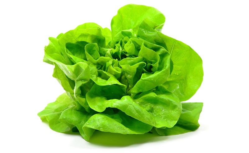 Beta Carotene Rich Foods - Top 14 Available List In India | I Fashion Styles