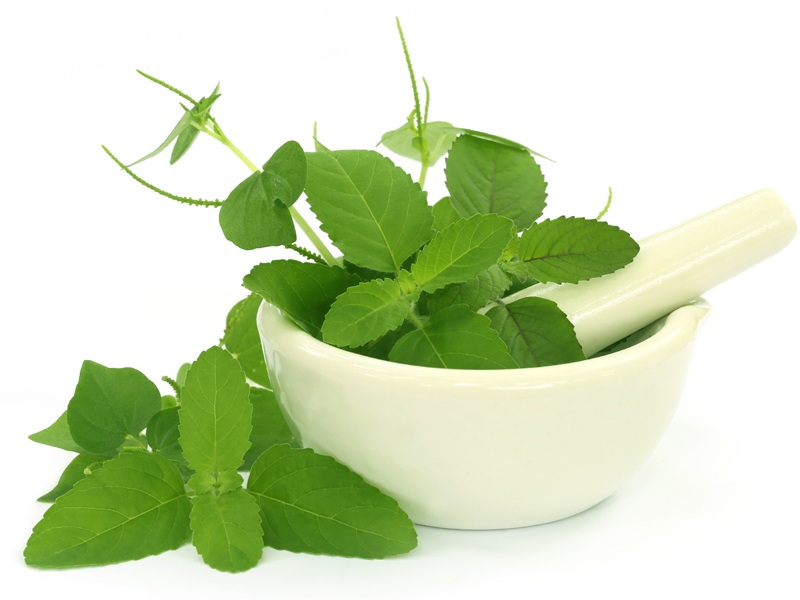 Top 9 Effective Energy Boosting Herbs | I Fashion Styles