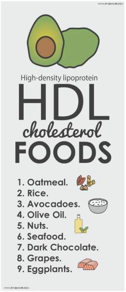 Top 9 HDL Cholesterol Foods | I Fashion Styles