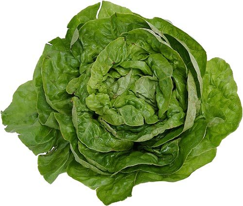 Top9 Green Leafy Vegetables | I Fashion Styles