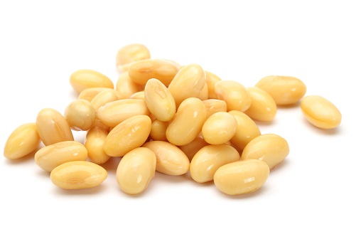 19 Best Foods And Diet For Increasing Height Rapidly | I Fashion Styles