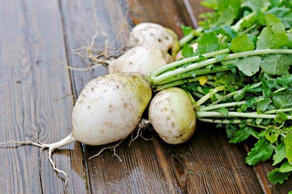 10 Best Vegetables That Help You Grow Taller Effectively!