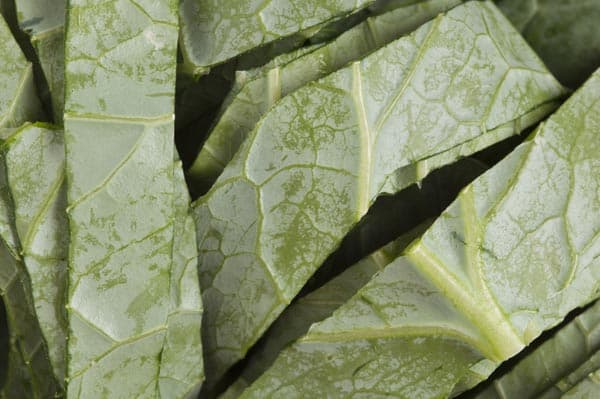 10 Best Vegetables That Help You Grow Taller Effectively!