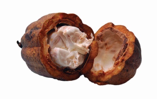 9 Best Homemade Eye Creams | I Fashion Styles