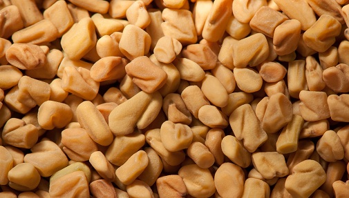 Appendicitis Pain: Symptoms, Causes and Homemade Treatments