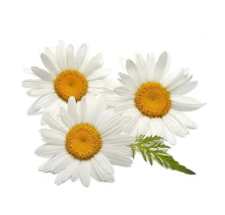 Itchy Eyes: Causes, Symptoms and Home Remedies