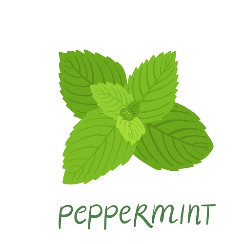 Top 27 Natural Home Remedies For Throat Pain (Sore Throat) Treatment