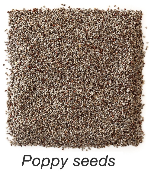 Top 9 Fast and Effective Home Remedies for Backache