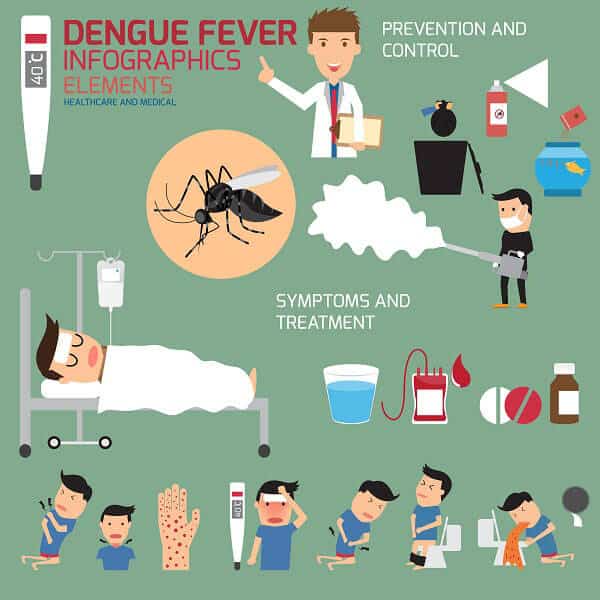 15 Effective Home Remedies for Treating Dengue Fever Naturally
