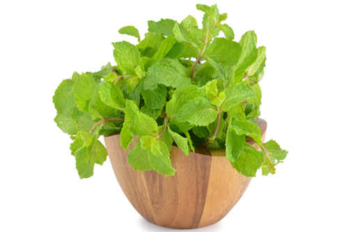 25 Instant Home Remedies to Get Rid of Your Cough | I Fashion Styles