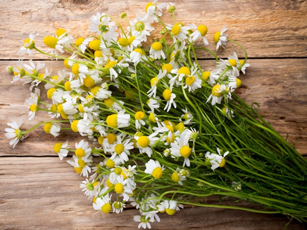 23 Best and Effective Home Remedies for Allergy | I Fashion Styles