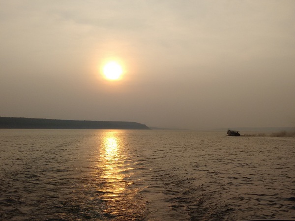 23 Best and Effective Home Remedies for Allergy | I Fashion Styles