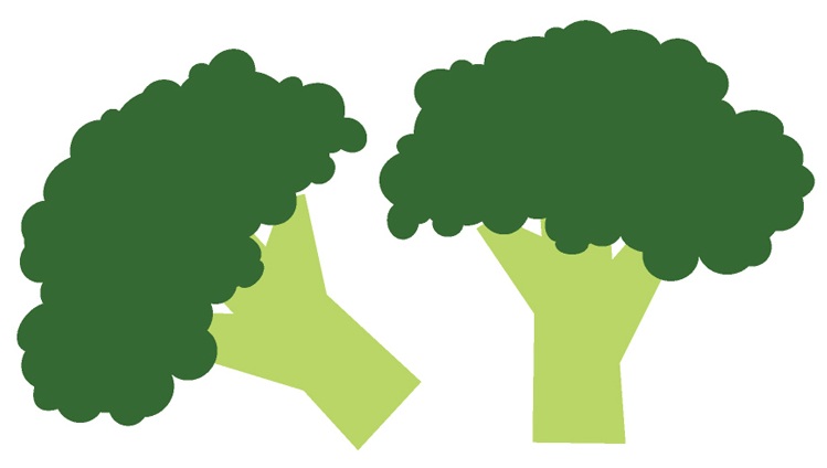 Broccoli Benefits And Uses For Hair, Skin And Health