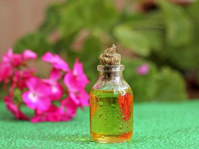 Geranium Benefits And Uses For Skin And Health | I Fashion Styles