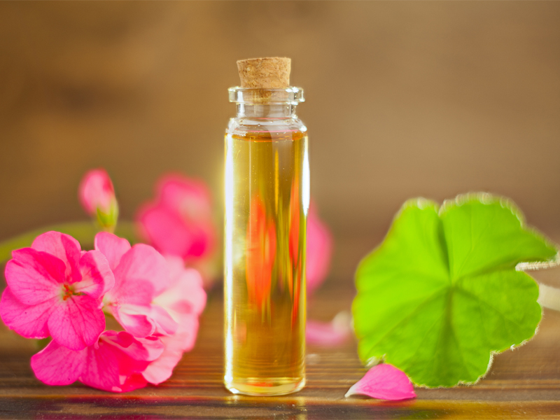 Geranium Benefits And Uses For Skin And Health | I Fashion Styles