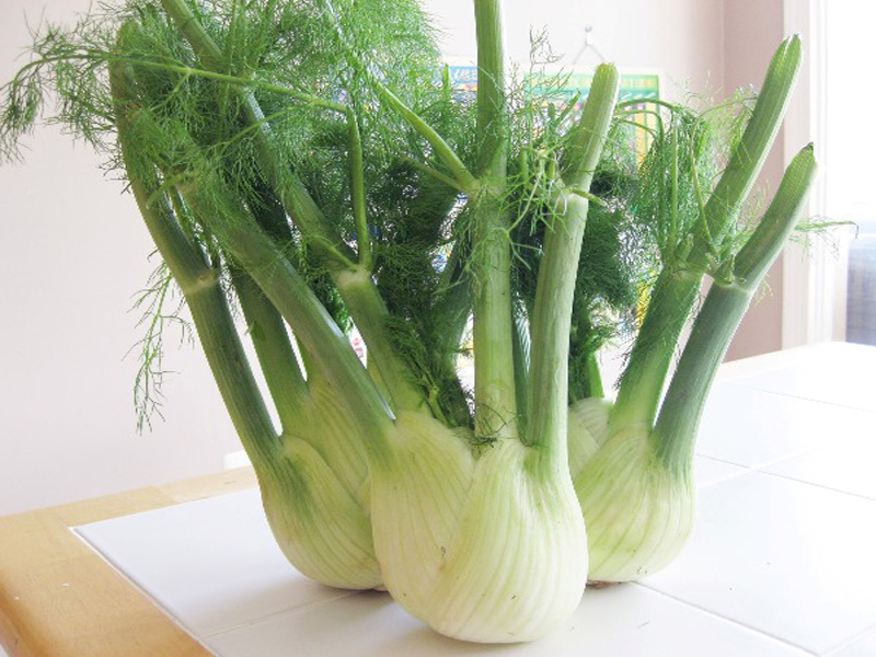 15 Surprising Fennel Benefits And Uses For Health | I Fashion Styles