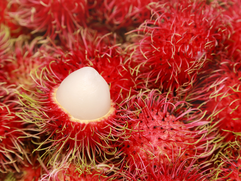 Top 9 Health Benefits of Rambutan |I Fashion Styles
