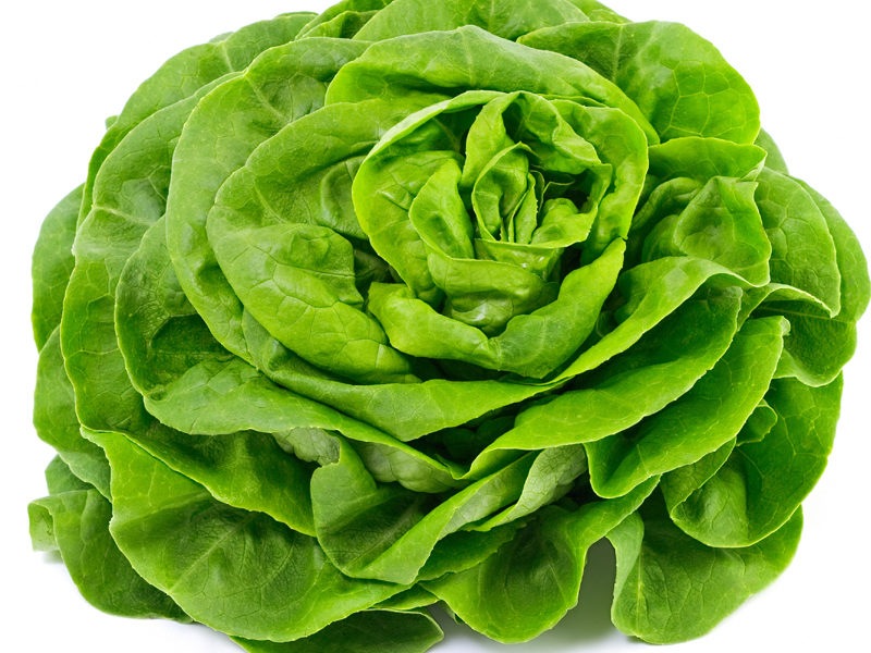 18 Best Lettuce Leaves Benefits For Skin, Hair &amp; Health !