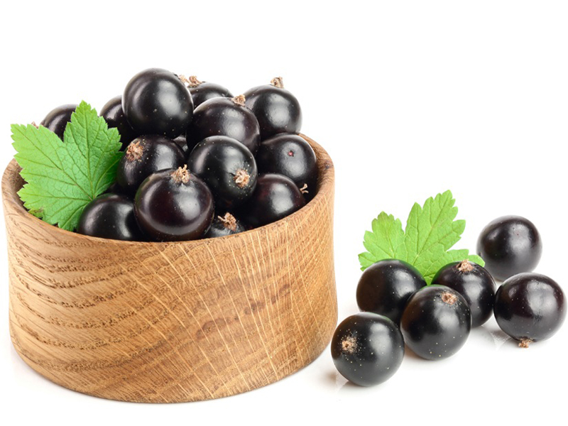 Black Currant Benefits | I Fashion Styles