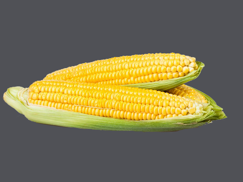 Top 15 Advantages And Benefits Of Corn | Styyles At Life