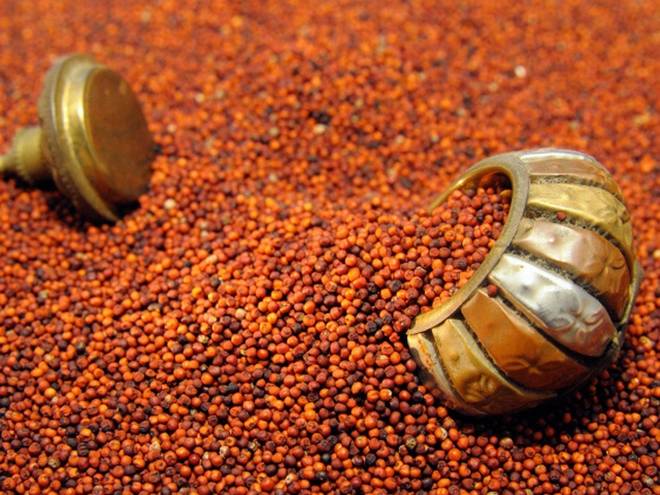 12 Best Ragi Benefits (Finger Millet) With Nutrition Facts