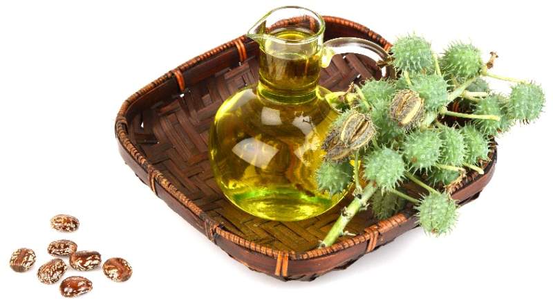 Castor Oil Benefits: 15 Best List For Health, Hair &amp; Skin