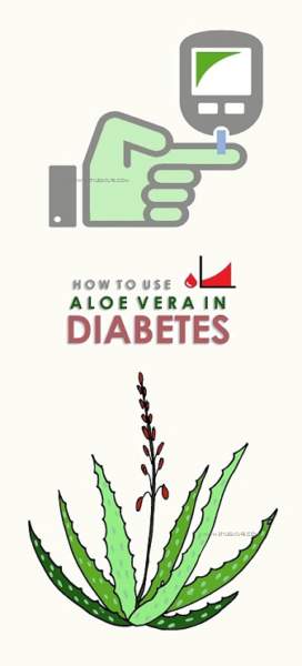 Aloe Vera for Diabetes: Unveiling the Connection and How to Use It