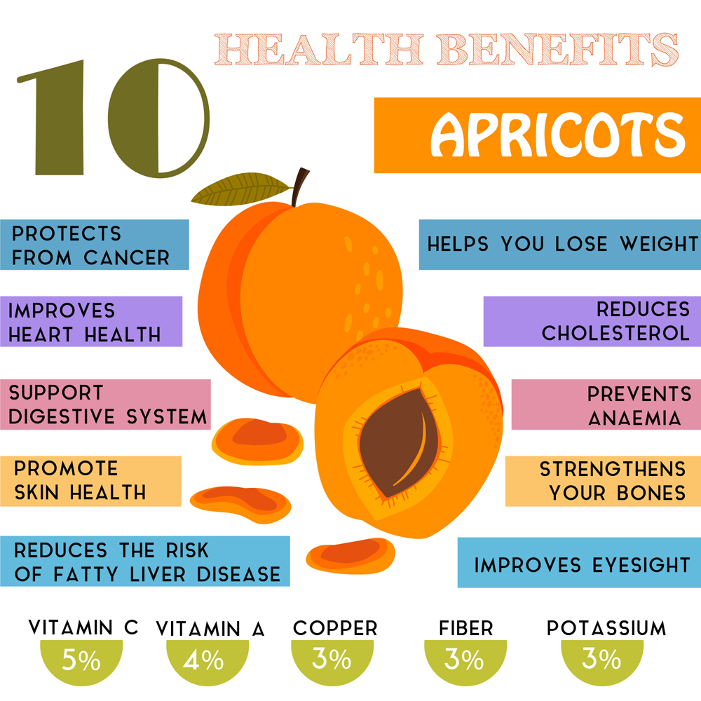 15 Amazing Apricot Benefits (Khubani) For Skin, Hair &amp; Health