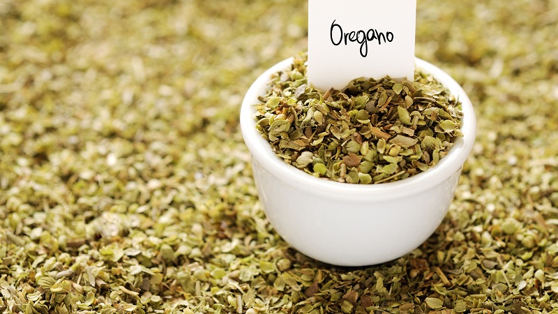16 Amazing Oregano Benefits For Health, Hair &amp; Skin