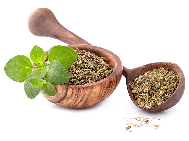 16 Amazing Oregano Benefits For Health, Hair &amp; Skin
