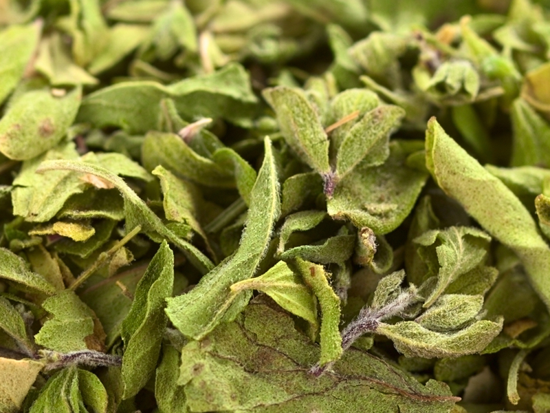 12 Research Based Dried Oregano Benefits &amp; Nutrition Facts