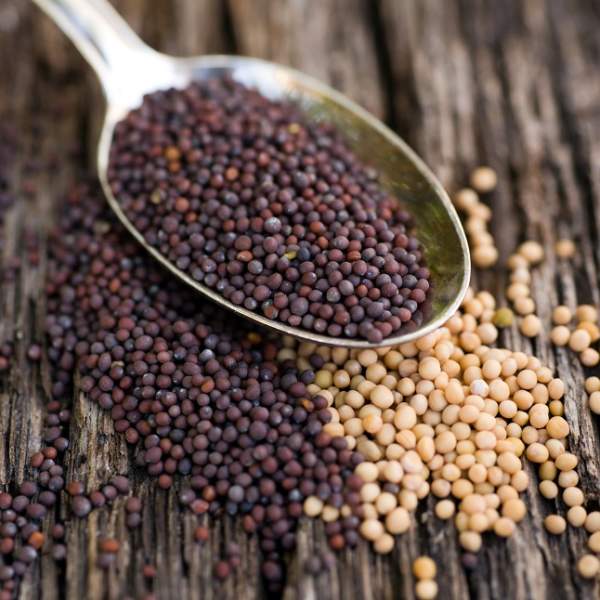 17 Best Benefits Of Mustard Seeds (Rai) For Skin, Hair and Health